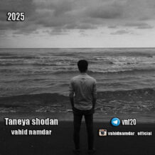 آهنگ جدید وحید نامدار به نام تنها شدن